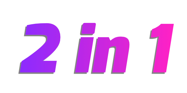 2 in 1