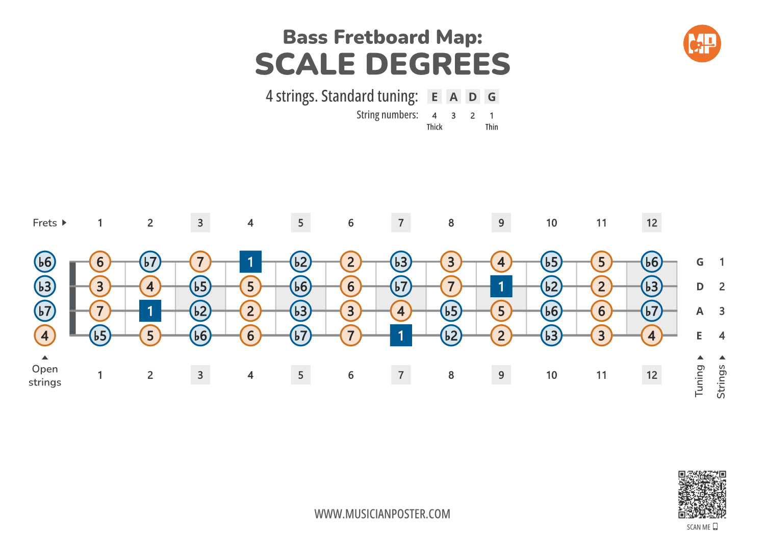 Bass Guitar Fretboard Map PDF With Scale Degrees