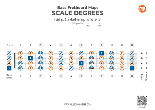 Bass Guitar Fretboard Map With Intervals As Scale Degrees