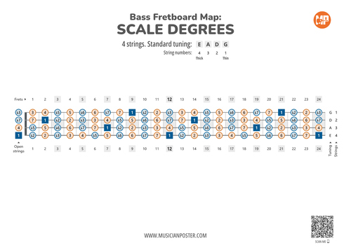 Bass Guitar Fretboard Map PDF With Scale Degrees