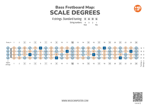 Bass Guitar Fretboard Map PDF With Scale Degrees