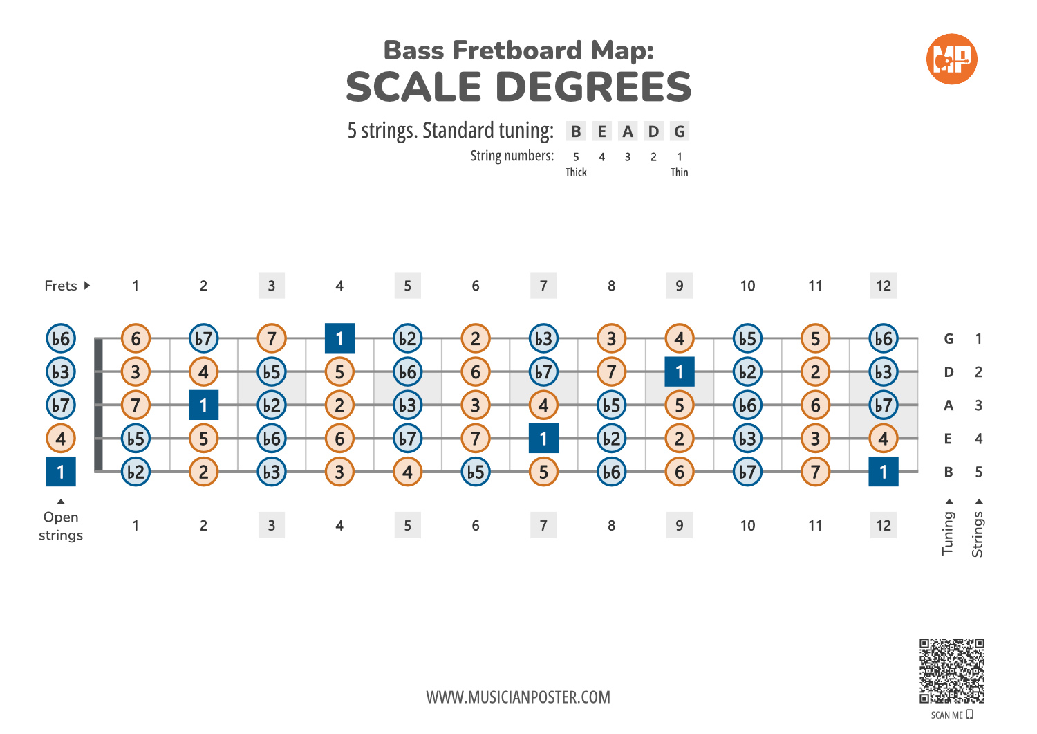 5 string Bass Printable Fretboard Chart With Scale Degrees 5 string Bass Printable Fretboard Chart With Scale Degrees
