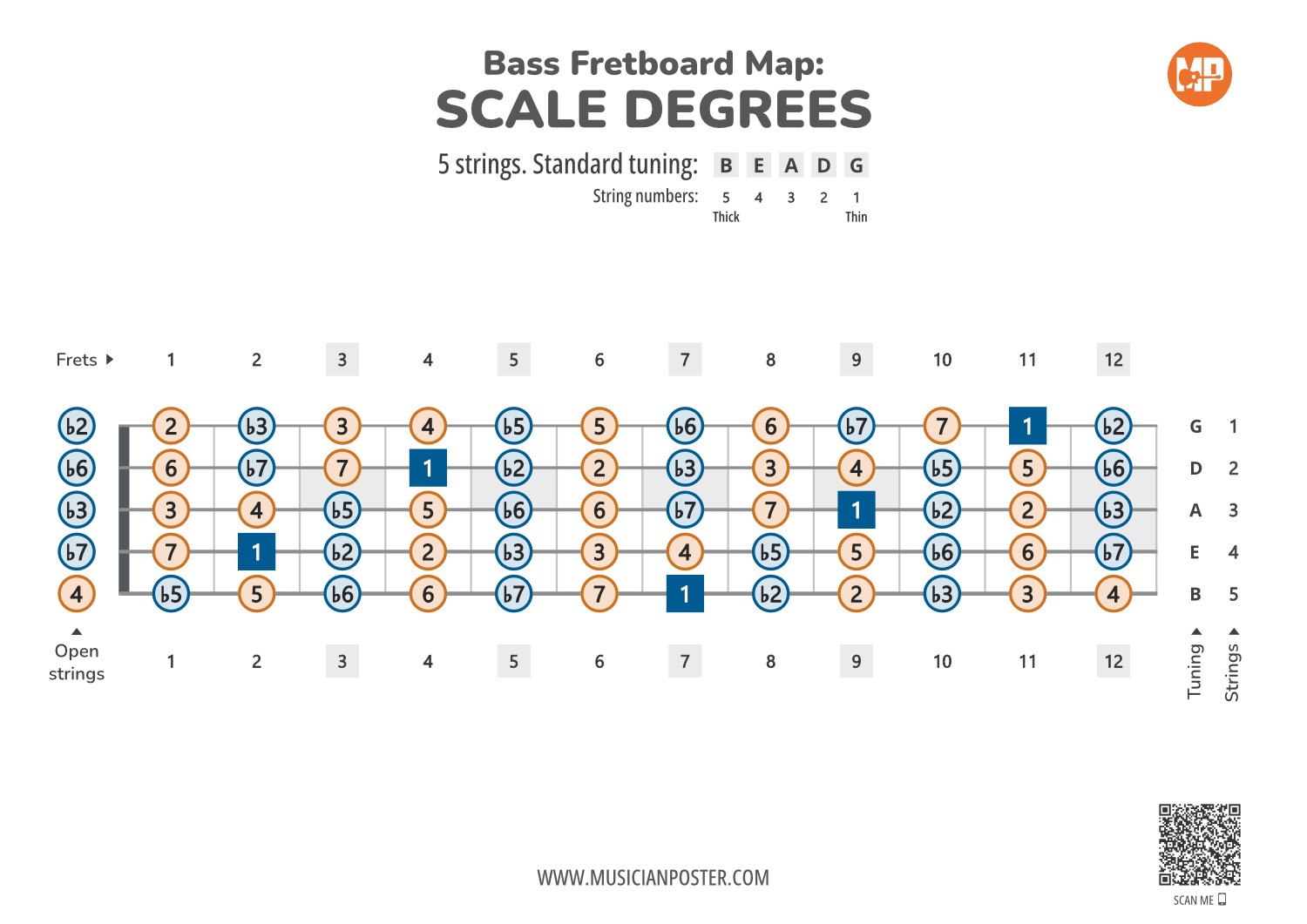 5-String Bass Printable Fretboard Chart With Scale Degrees