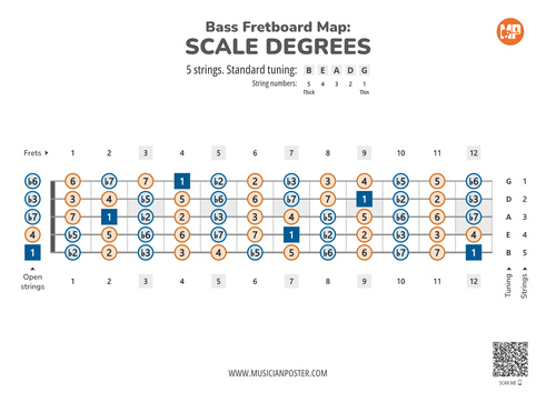 5-String Bass Guitar Fretboard Map With Scale Degrees