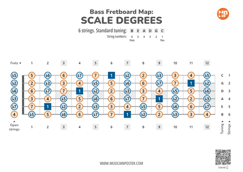 6-String Bass Printable Fretboard Map With Scale Degrees