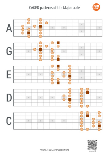 CAGED System: 5 Patterns of the Major Scale (Flat Style)