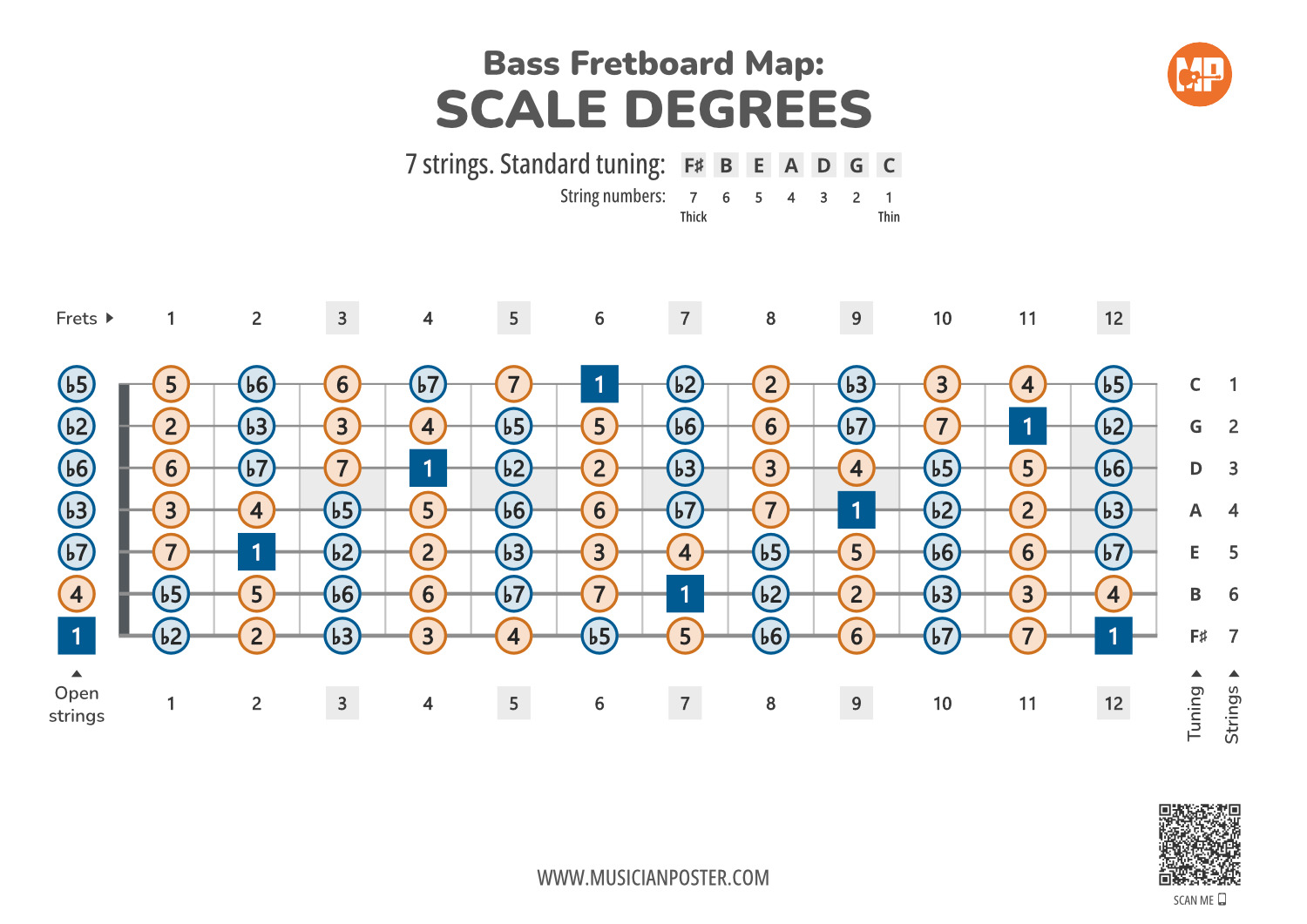 7-String Bass Printable Fretboard Map With Scale Degrees