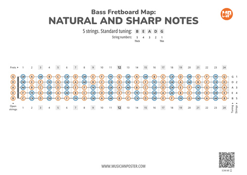 5-String Bass Guitar Printable Fretboard Map With All Notes