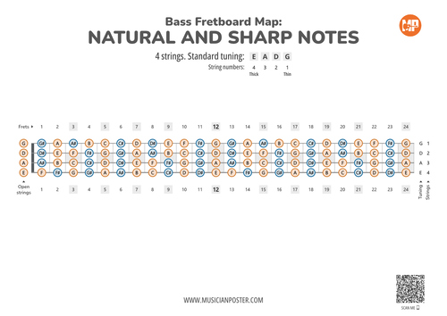 Bass Guitar Fretboard Map PDF With All Notes