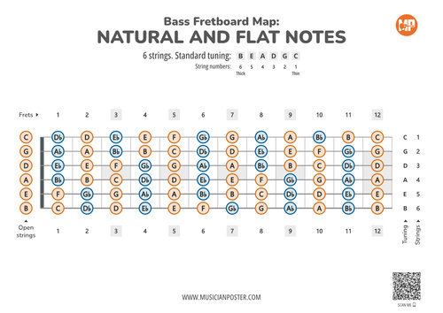 6-String Bass Guitar Fretboard Map With All Notes