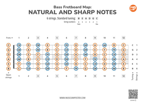 6-String Bass Guitar Printable Fretboard Map With All Notes