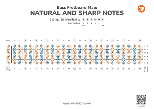 6-String Bass Guitar Printable Fretboard Map With All Notes