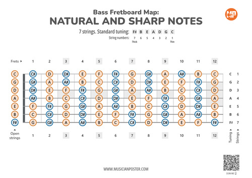 7-String Bass Guitar PDF Fretboard Map With All Notes