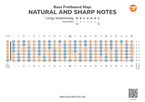 7-String Bass Guitar PDF Fretboard Map With All Notes