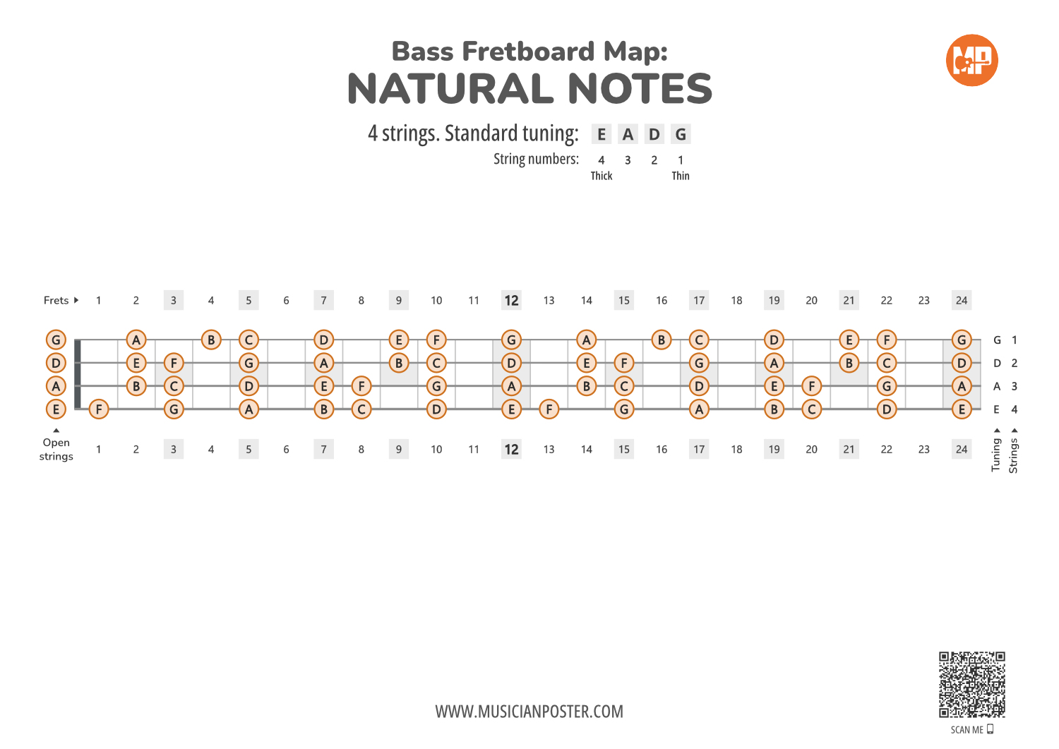 Printable on sale guitar fretboard