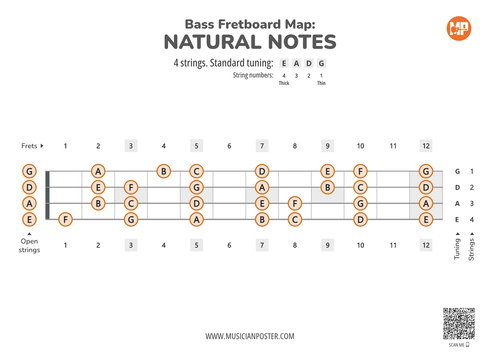 Bass Guitar Printable Fretboard Map With Natural Notes