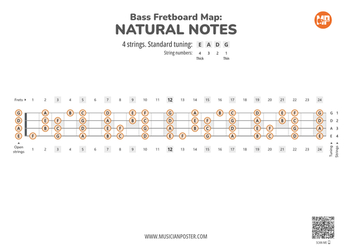 Bass Guitar Printable Fretboard Map With Natural Notes
