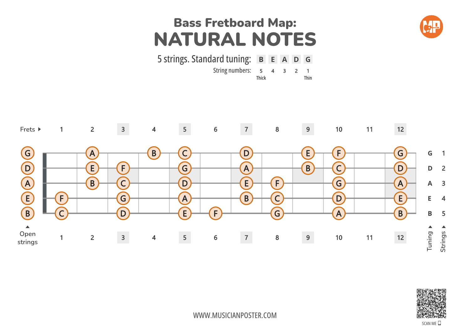 5-String Bass Guitar Fretboard Map PDF With Natural Notes
