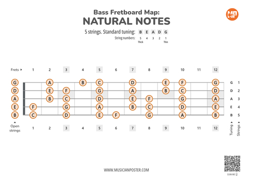 5-String Bass Guitar Fretboard Map PDF With Natural Notes