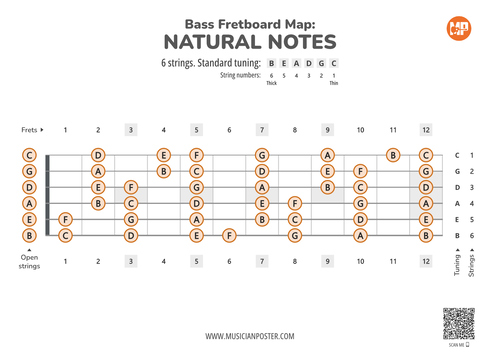 6-String Bass Guitar Fretboard Map With Natural Notes