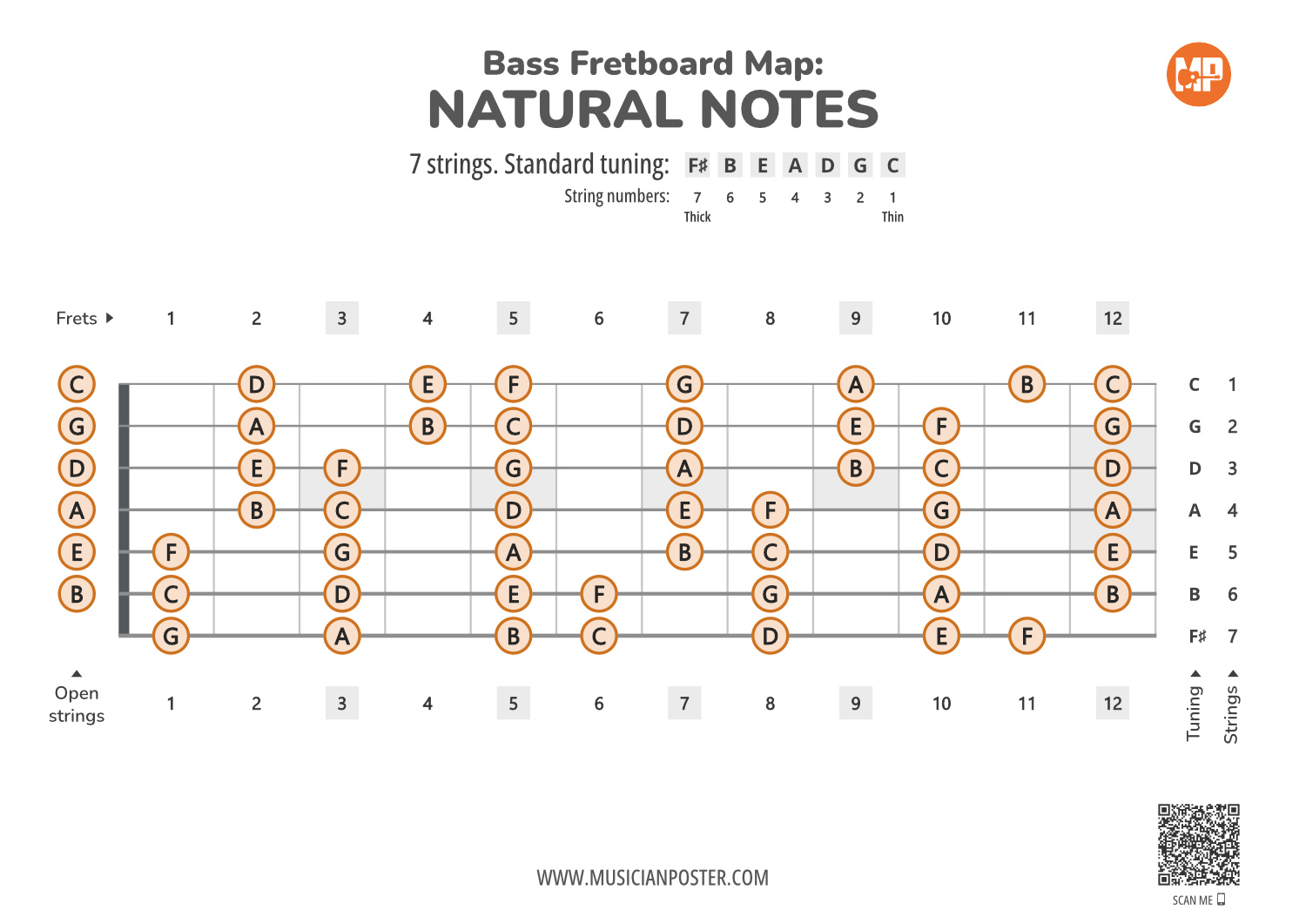 6 String Bass Guitar Notes