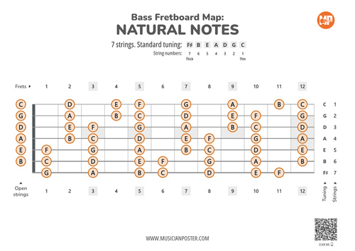 7-String Bass Guitar Fretboard Map With Natural Notes