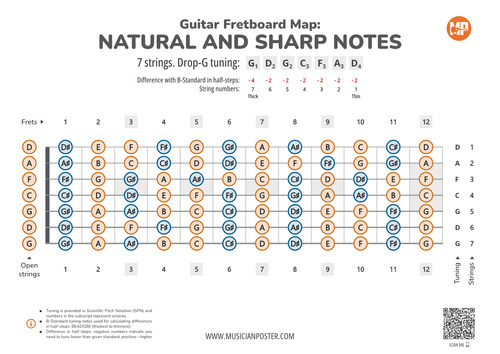 7-String Guitar Fretboard With All Notes In Drop-G Tuning