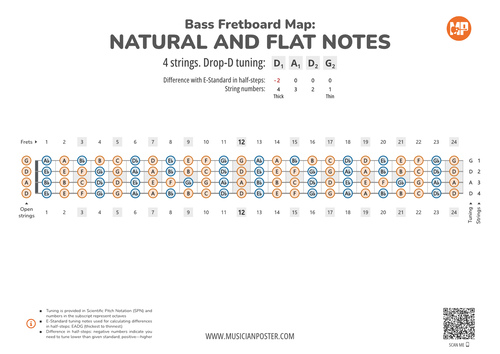 Bass Guitar Fretboard Map PDF With All Notes In Drop-D