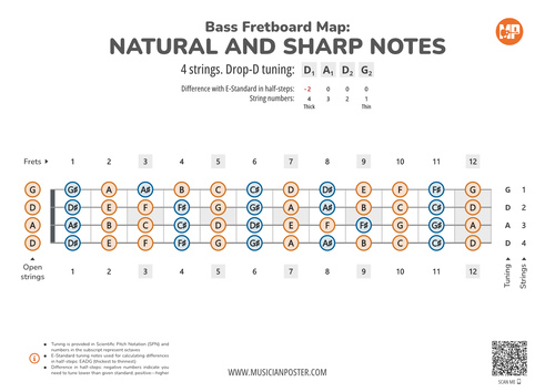Bass Guitar Fretboard Map PDF With All Notes In Drop-D