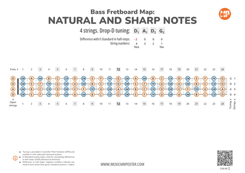 Bass Guitar Fretboard Map PDF With All Notes In Drop-D
