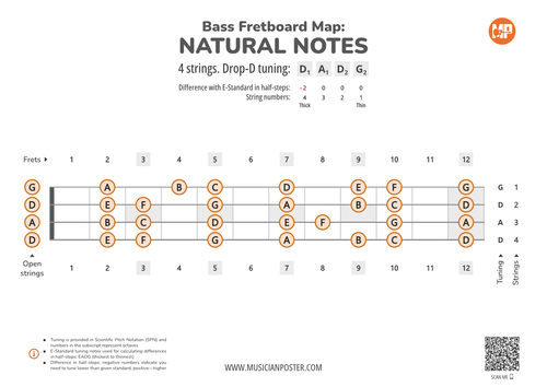 Bass Fretboard Map PDF With Natural Notes In Drop-D Tuning