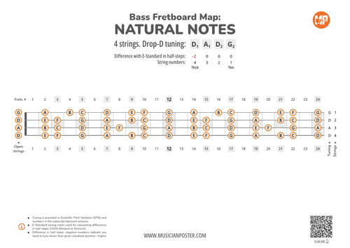 Bass Fretboard Map PDF With Natural Notes In Drop-D Tuning