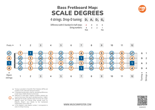 Bass Fretboard Map PDF With Scale Degrees In Drop Tuning