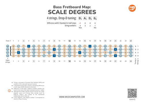 Bass Fretboard Map PDF With Scale Degrees In Drop Tuning