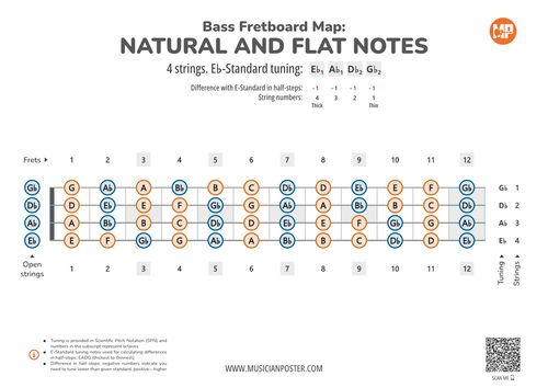 Bass Guitar Fretboard Map PDF With All Notes In Eb-Standard