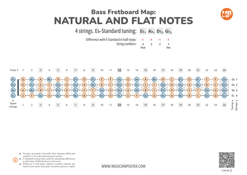 Standard Bass Notes Bass Guitar Fretboard Map PDF With All Notes In Eb-Standard