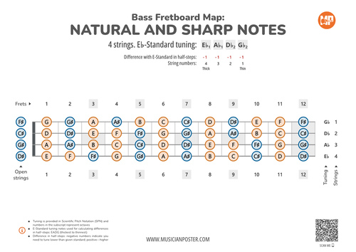 Bass Guitar Fretboard Map PDF With All Notes In Eb-Standard