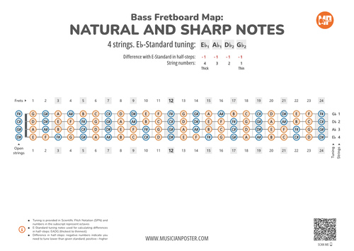 Bass Guitar Fretboard Map PDF With All Notes In Eb-Standard