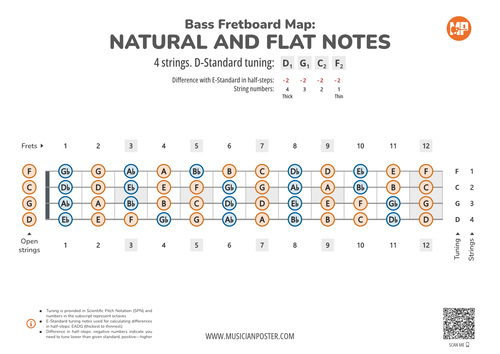 Bass Guitar Fretboard Map With All Notes In D-Standard