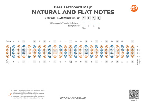Bass Guitar Fretboard Map PDF With All Notes In D-Standard