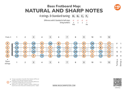 Bass Guitar Fretboard Map PDF With All Notes In D-Standard