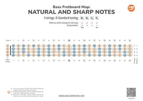 Bass Guitar Fretboard Map PDF With All Notes In D-Standard