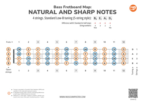 Bass Guitar Fretboard Map PDF With All Notes In BEAD Tuning