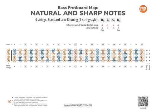 Bass Guitar Fretboard Map PDF With All Notes In BEAD Tuning