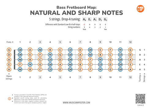 5-String Bass Fretboard Map With All Notes In Drop-A Tuning