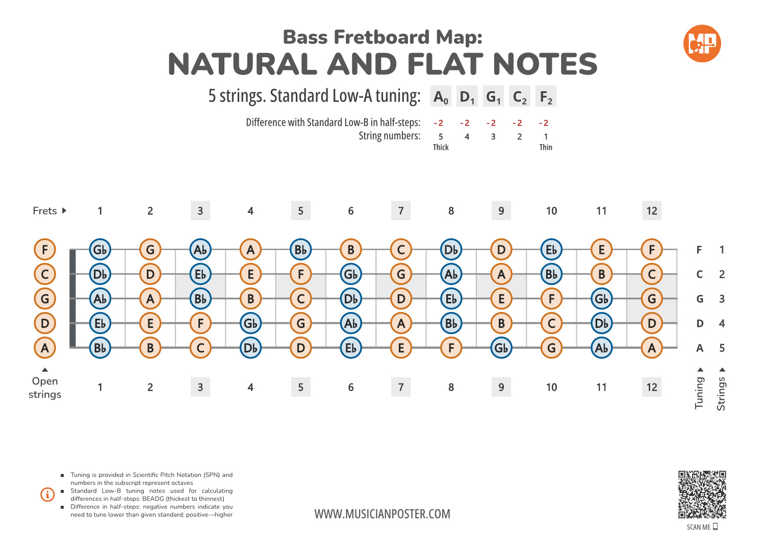 5-String Bass Neck Map With All Notes In A-Standard Tuning