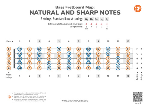 5-String Bass Neck Map With All Notes In A-Standard Tuning
