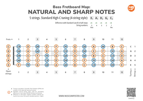 5-String Bass Neck With All Notes In Standard High-C Tuning