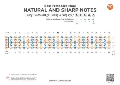 5-String Bass Neck With All Notes In Standard High-C Tuning