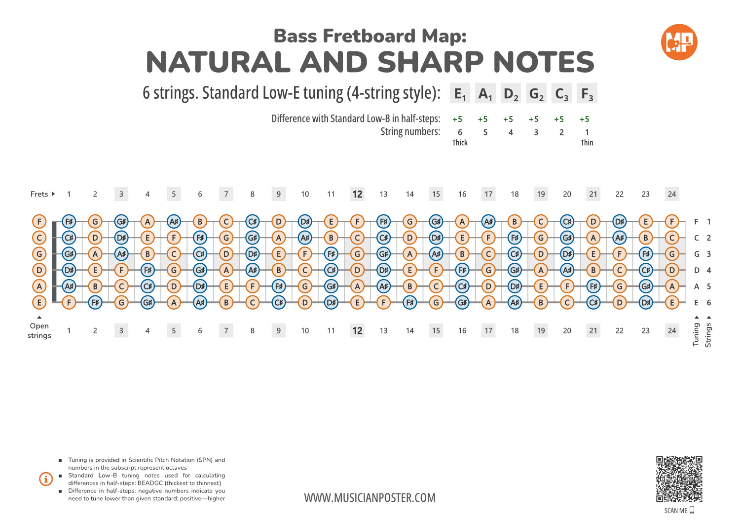 6 String Bass Neck Map Of All Notes In Standard Low E Tuning